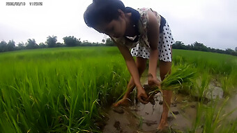 田んぼにいる可愛いアジアの女の子:公開でホットな