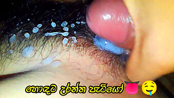 Sinhala Porn New: Wife Fucking With Hairy Balls