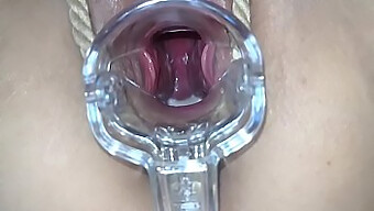 What Does A Sex Toy Look Like Inside A Slut'S Pussy