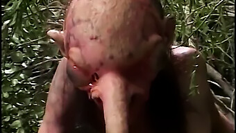 American Beauty Gets Her Pussy Stretched By A Big Cock In A Steamy Outdoor Encounter