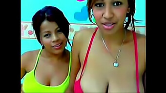 Las Gruesas Lesbianas Brasileñas Dulce Y Ana En Tastycamz.Com