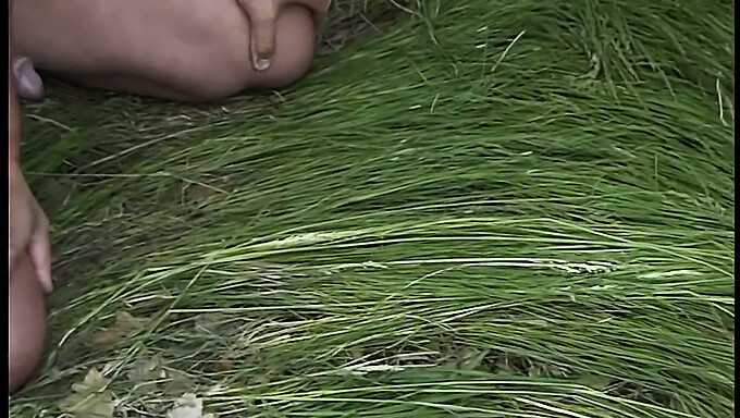 Een Latina Met Een Grote Kont Wordt Verleid En Hard Geneukt In De Vrije Natuur.