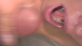 Oral Pleasure And Bj Fun With Cim