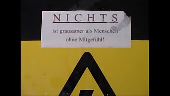 Milf Germană Primește Futai Hardcore În Aer Liber