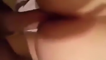 Grosse Bite En Action: Vidéo Gay Algérienne