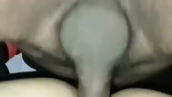 Isteri India Mendapat Creampie Dalam Video Buatan Sendiri