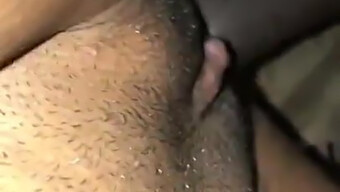 Hd Video Of A Big Black Cock In Action