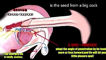 Con Cặc Đen Lớn Kiểm Soát: Trải Nghiệm Trans