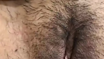 مراهق مشعر 18+ يعطي اللسان وكس ضيق